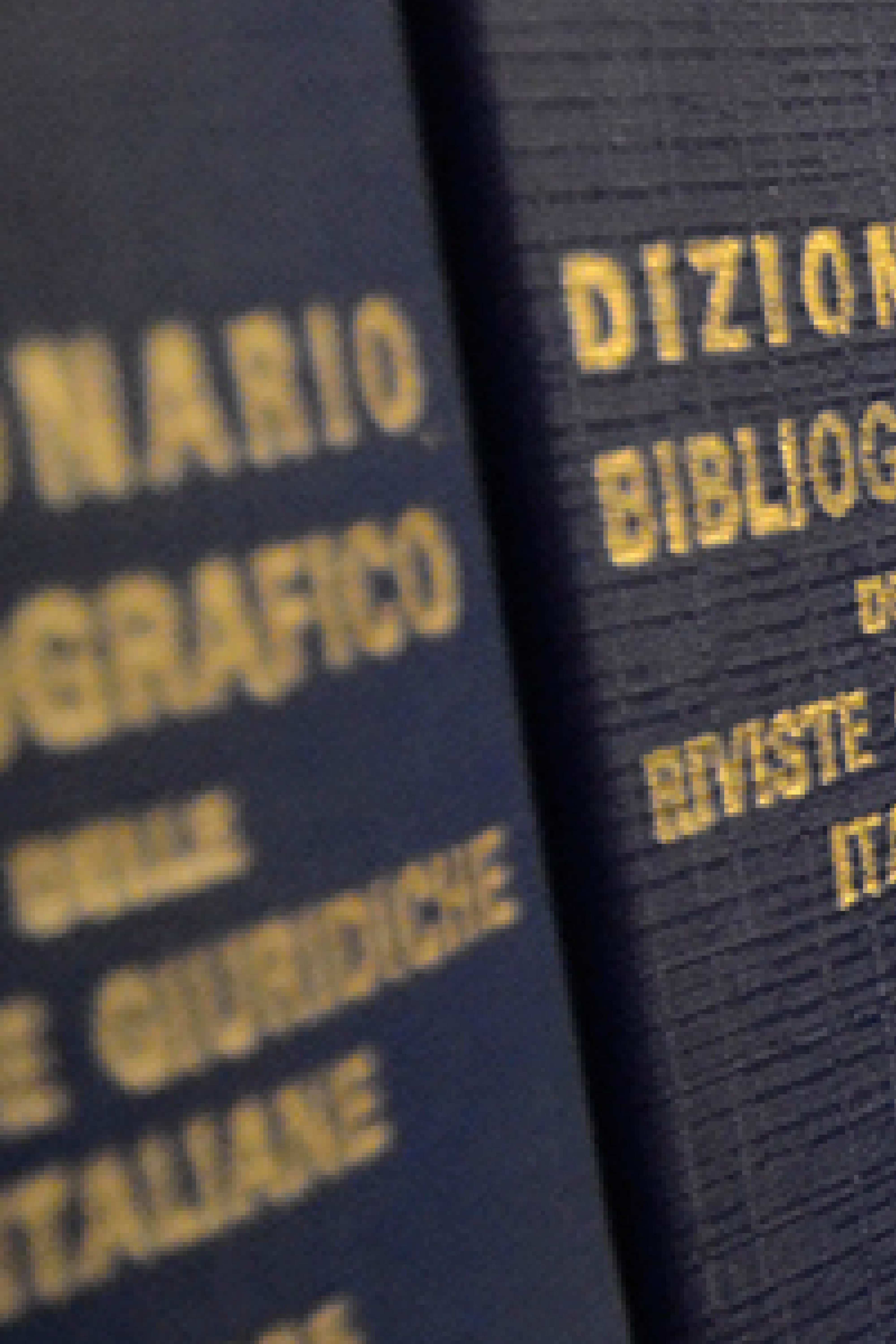 Di cosa ci occupiamo
